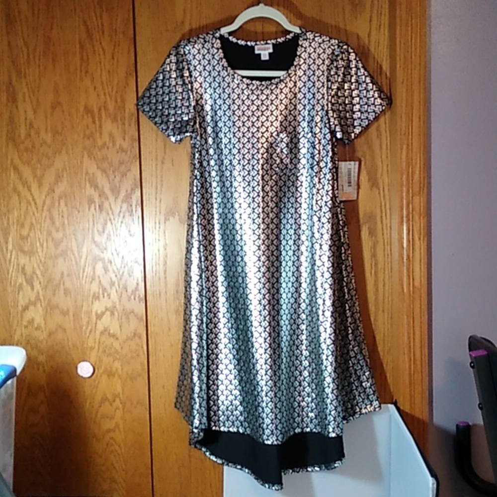 LuLaRoe brand Carly style dress